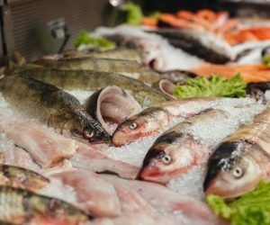 Close up of a raw fish in a showcase at the supermarket
